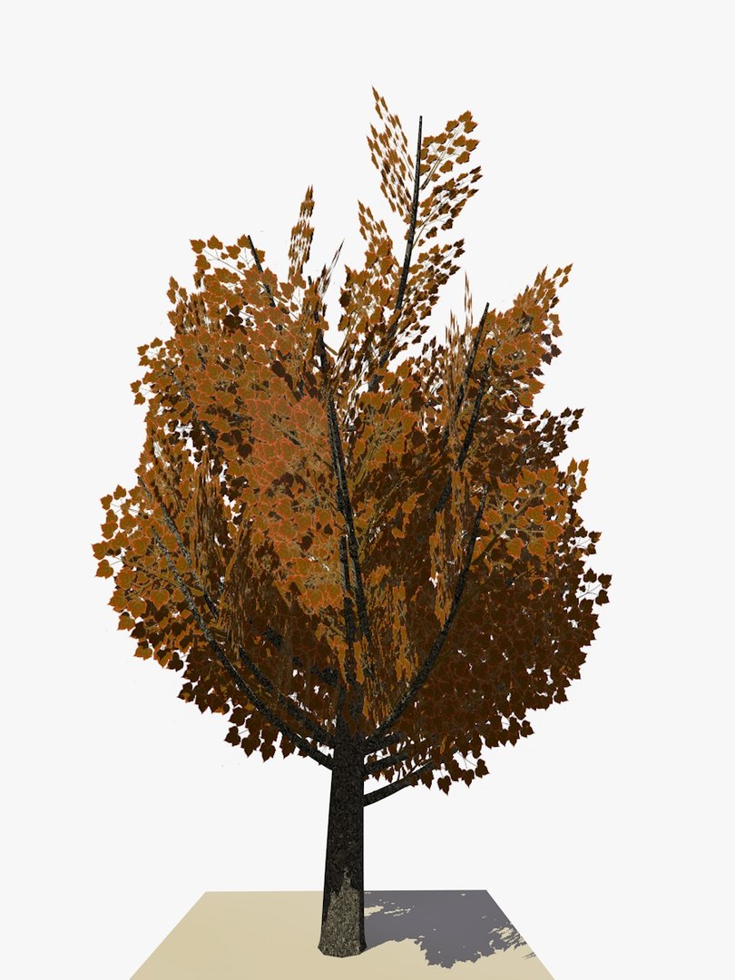 tree animations c4d https://p.turbosquid.com/ts-thumb/dd/OMqoRD/SZ2G3D72/tree18animation3/jpg/1438347556/1920x1080/fit_q87/2499f278a951b31534787f11060272a3fa30cf40/tree18animation3.jpg