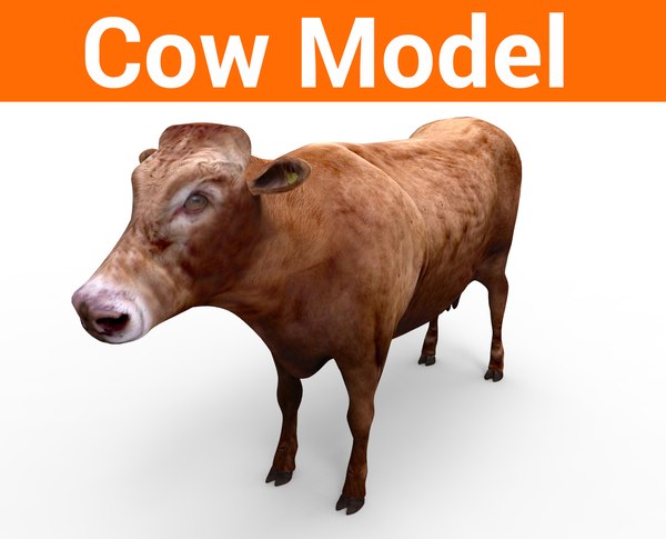 cow.595.jpg