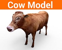 Cow model