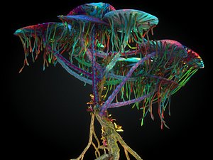 avatar fungus tree 3D model