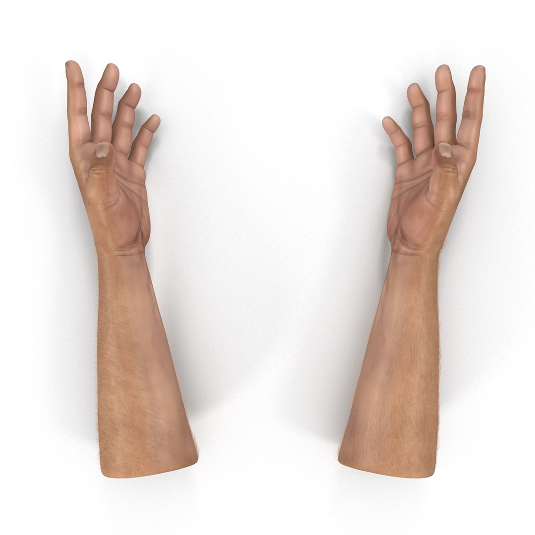 3d man hands fur rigged model
