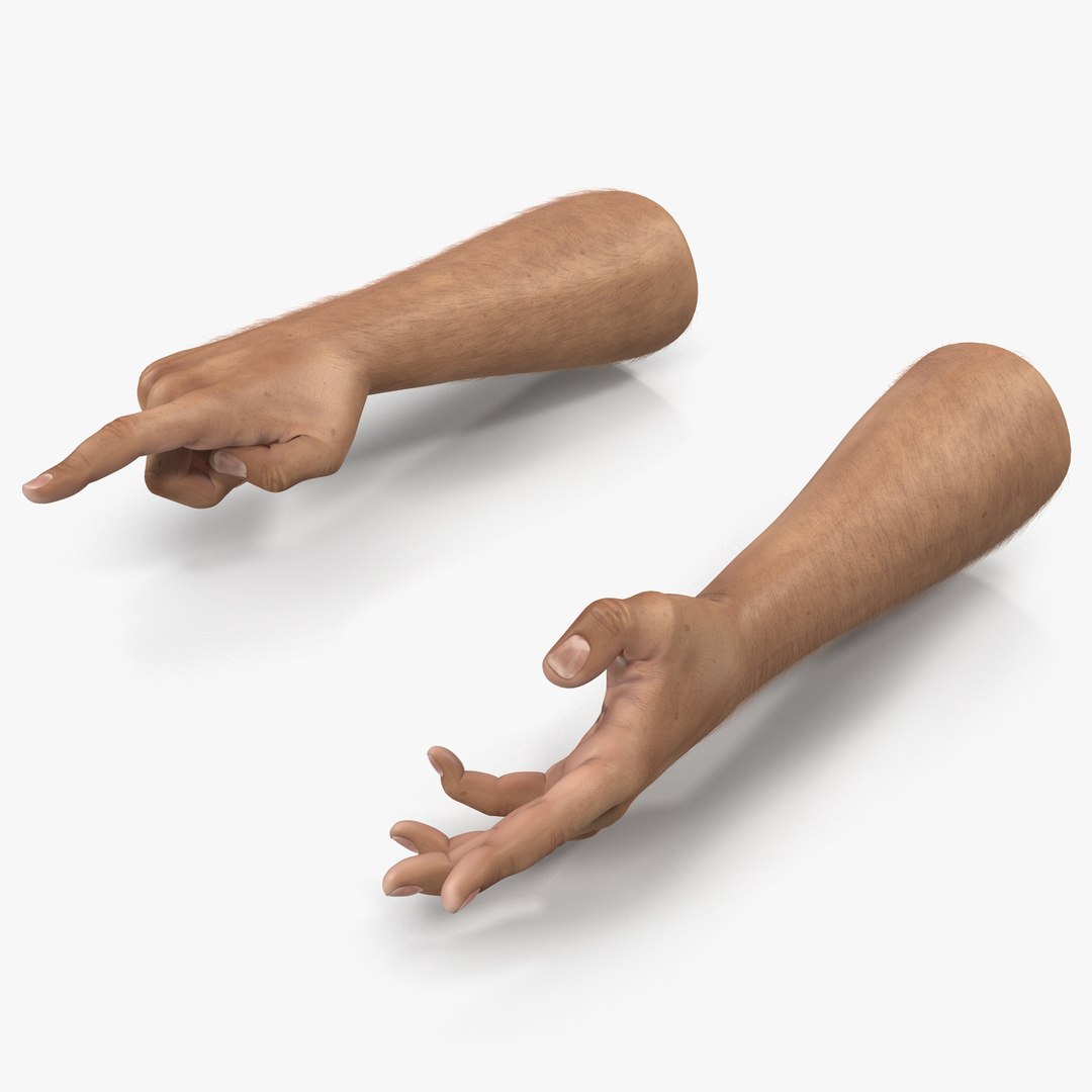 Man Hands with Fur Rigged 3D model preview