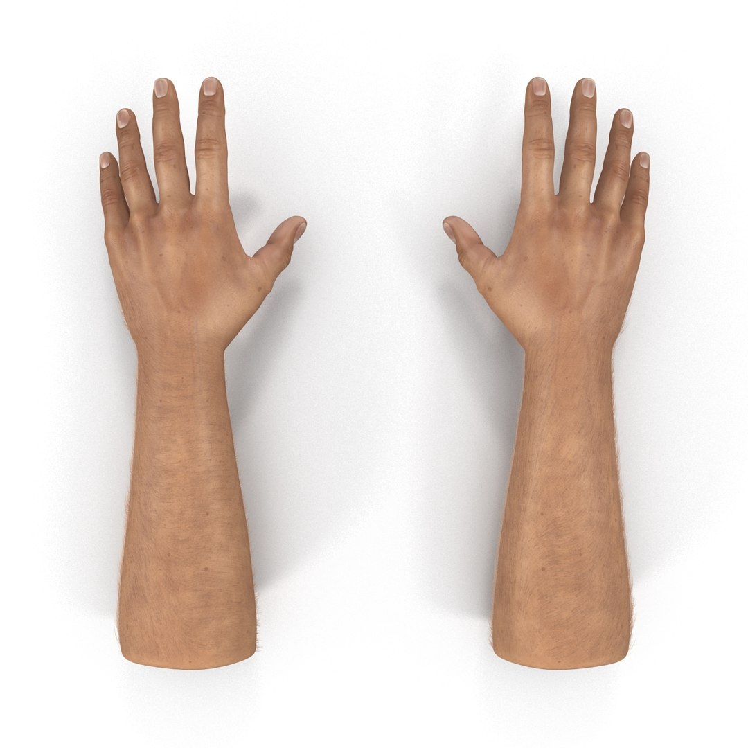 3d man hands fur rigged model