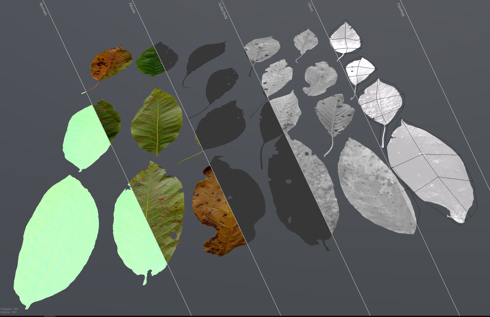 Cherry Leaves Leaf Autumn Fall Low-poly model https://p.turbosquid.com/ts-thumb/de/0brqMo/lw/u_marmoset/png/1729690191/1920x1080/fit_q87/9a9fb9d8d531539bd77c53ff8655df8459855c45/u_marmoset.jpg
