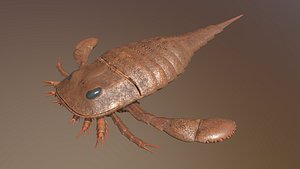 3D eurypterus