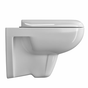 Wall Hung Water closet toilet