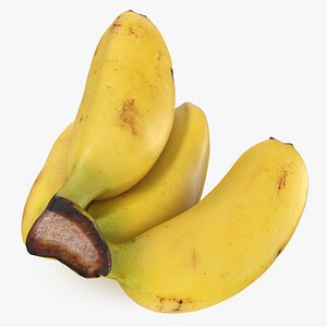 Baby Banana Bunch