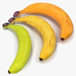 Bananas Collection model