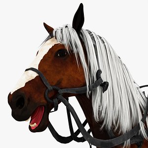 RIGGED SADDLED HORSE