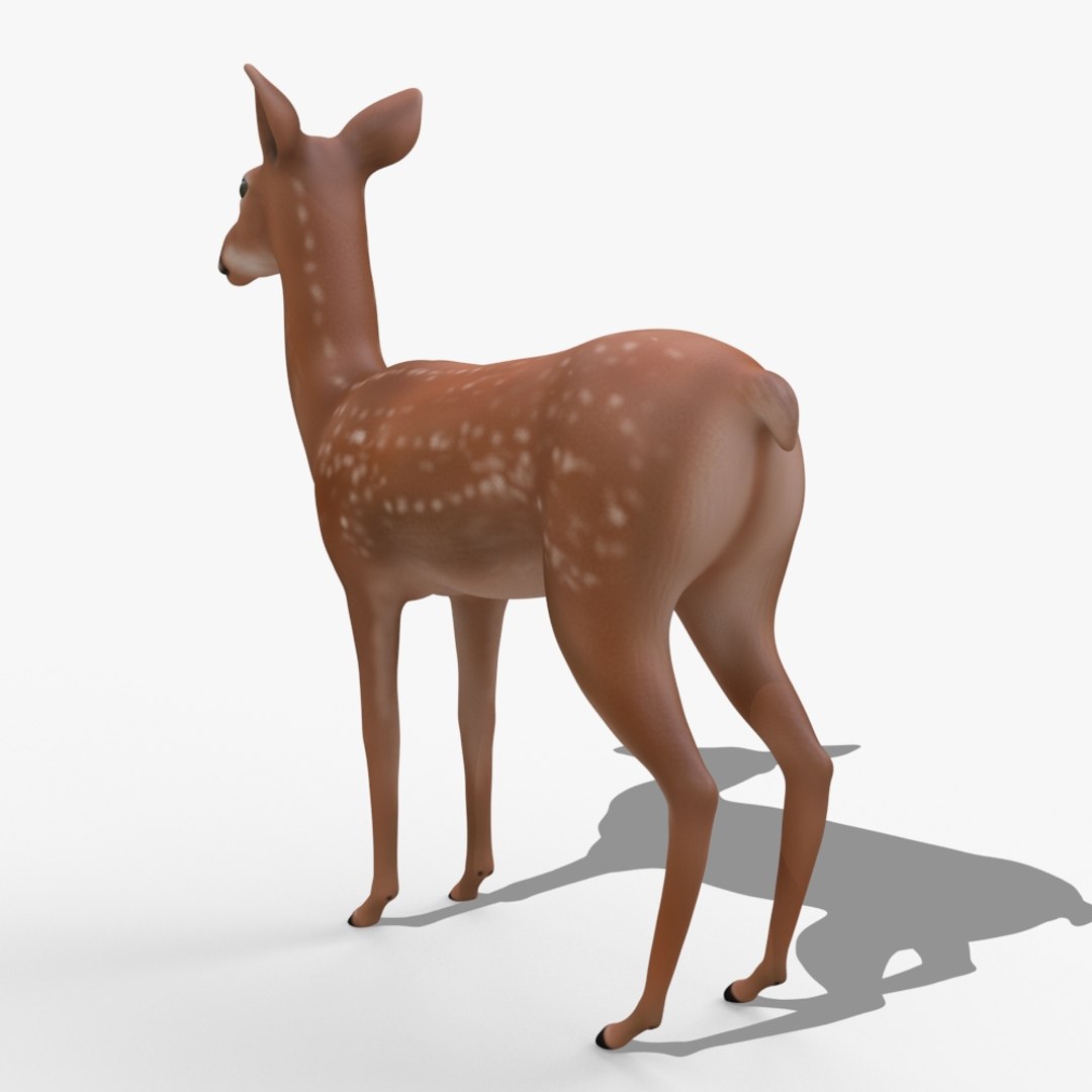 3D rigged model - TurboSquid 1154491