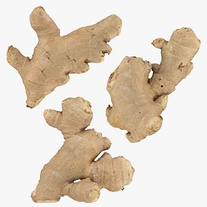 3D Ginger Collection