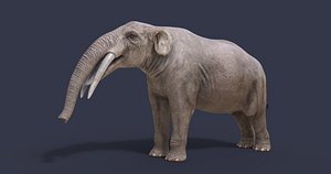 3D dinosaur animals model