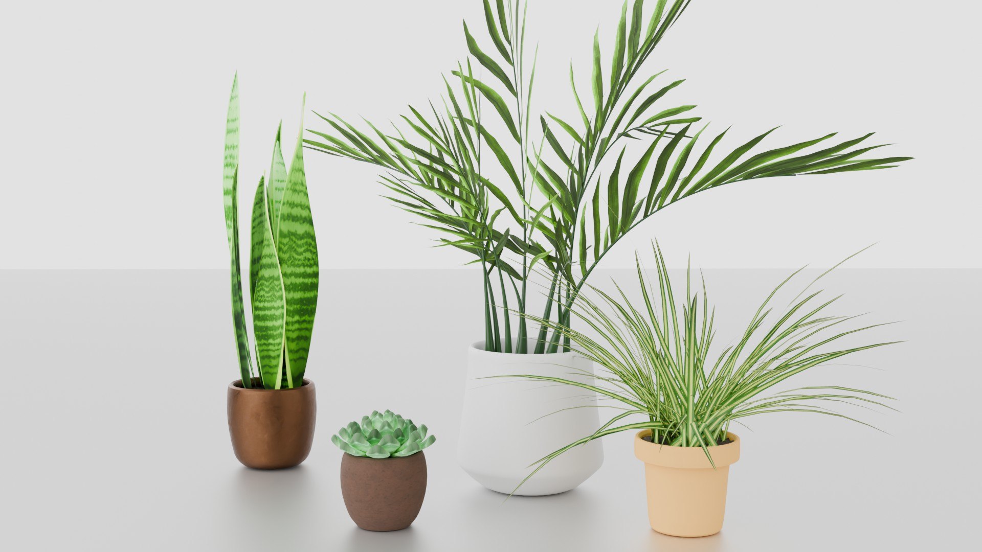 Indoor plants for decoration model https://p.turbosquid.com/ts-thumb/df/9iR3xF/9d/16/jpg/1754083238/1920x1080/fit_q87/c0185fef2adb1ad62ce336b4b1591fd8f0df2429/16.jpg