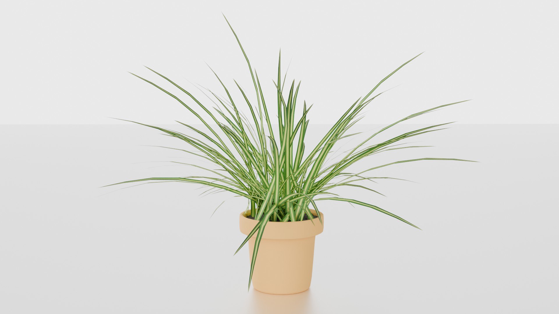Indoor plants for decoration model https://p.turbosquid.com/ts-thumb/df/9iR3xF/Cs/02/jpg/1754083232/1920x1080/fit_q87/3b2e88d60ef338b0483e0e9894110c460ac906e5/02.jpg