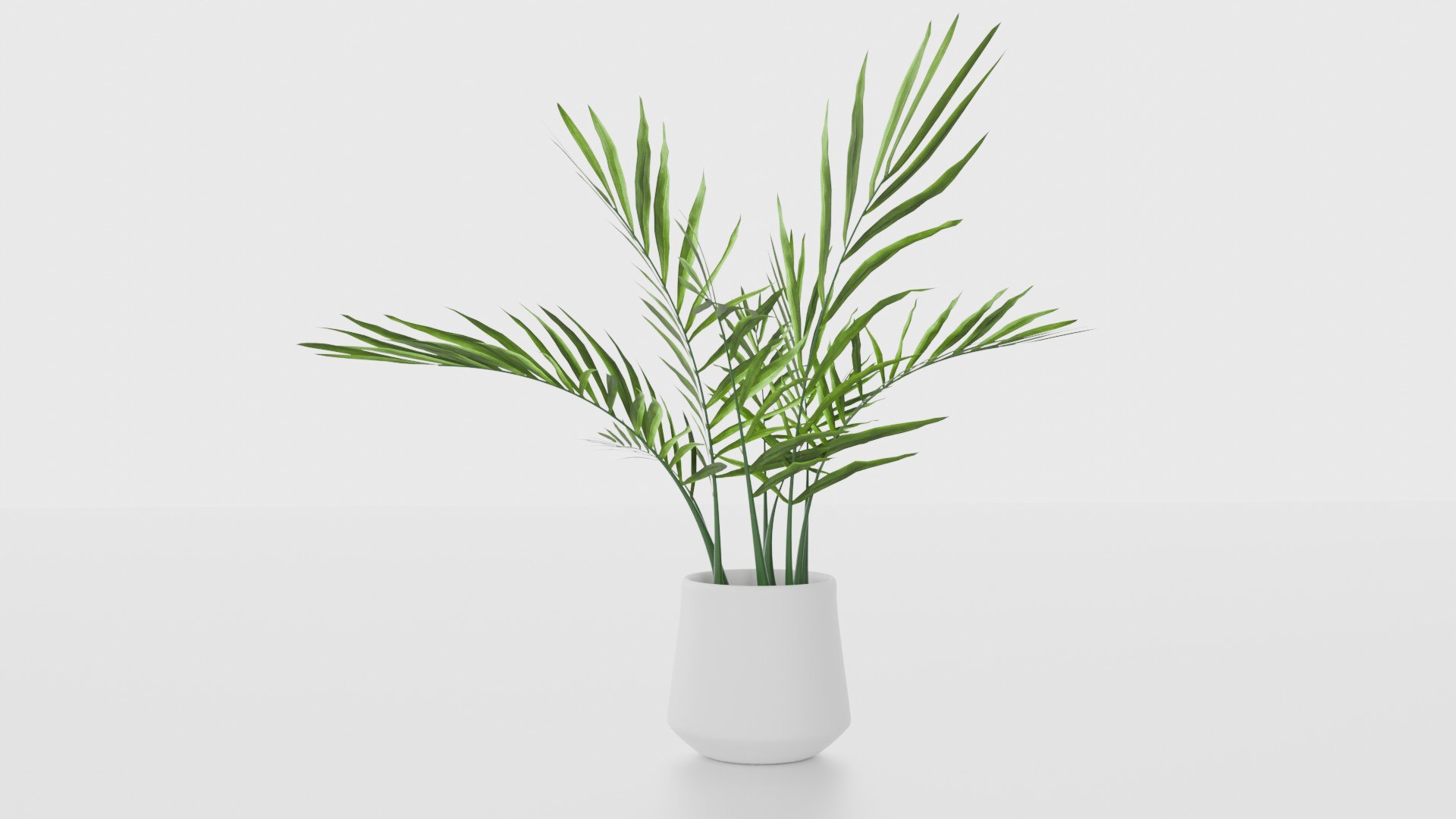 Indoor plants for decoration model https://p.turbosquid.com/ts-thumb/df/9iR3xF/HJ/08/jpg/1754083234/1920x1080/fit_q87/1b7d0b2933e6eeee8df95e3a8cc1370fac3cc249/08.jpg