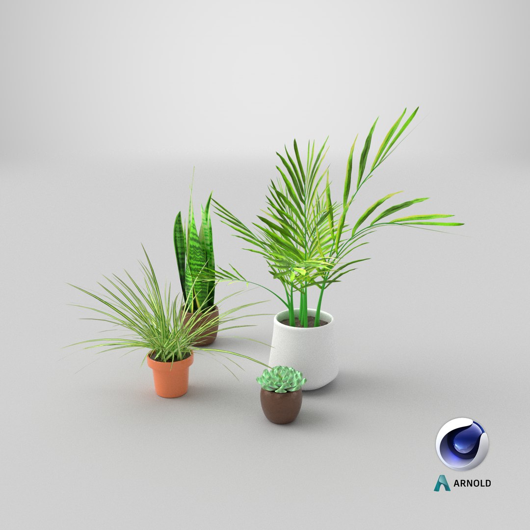 Indoor plants for decoration model https://p.turbosquid.com/ts-thumb/df/9iR3xF/Pt/stemcell_cinema_4d_arnold_render/png/1770594862/1920x1080/fit_q87/172872eef8dbbaed975705b82a61eaa463f47931/stemcell_cinema_4d_arnold_render.jpg