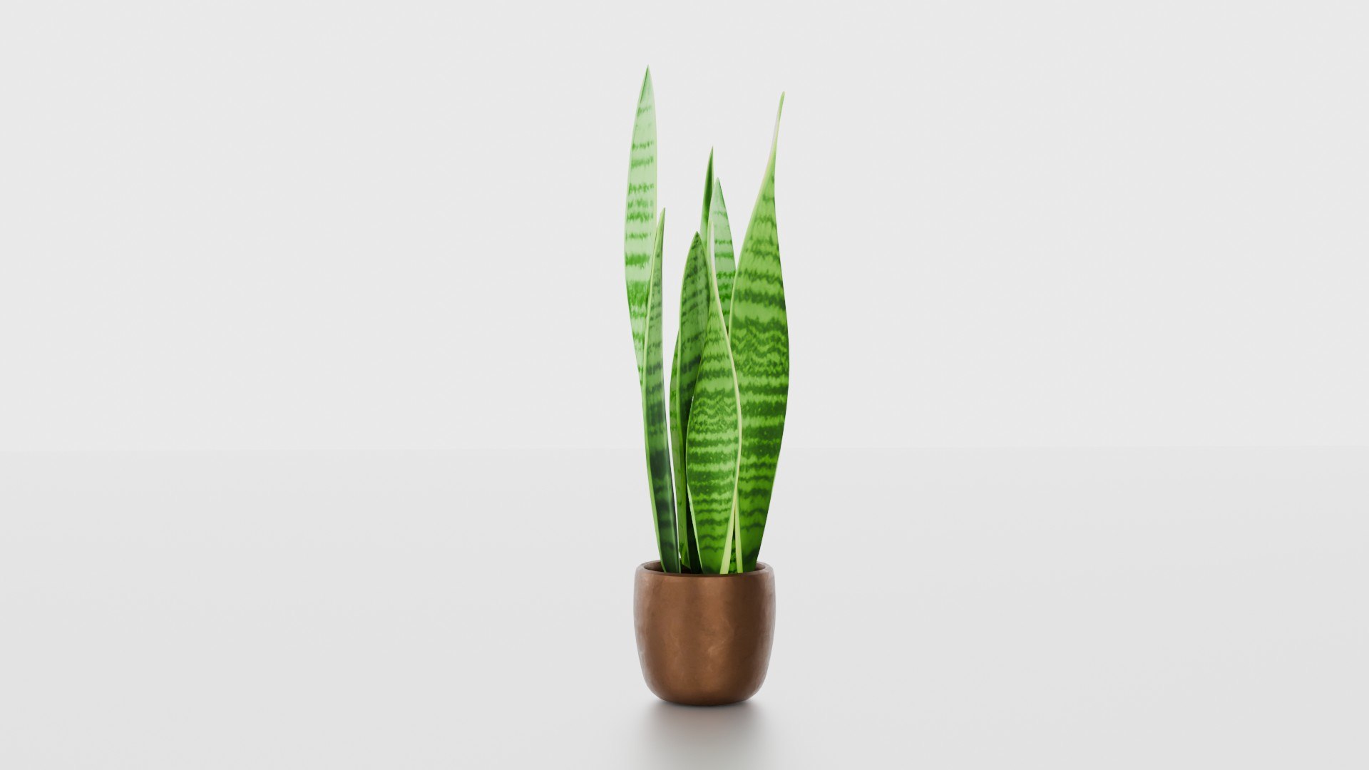 Indoor plants for decoration model https://p.turbosquid.com/ts-thumb/df/9iR3xF/QJ/12/jpg/1754083236/1920x1080/fit_q87/014c21af7061548300d69825e50b506ad070f339/12.jpg