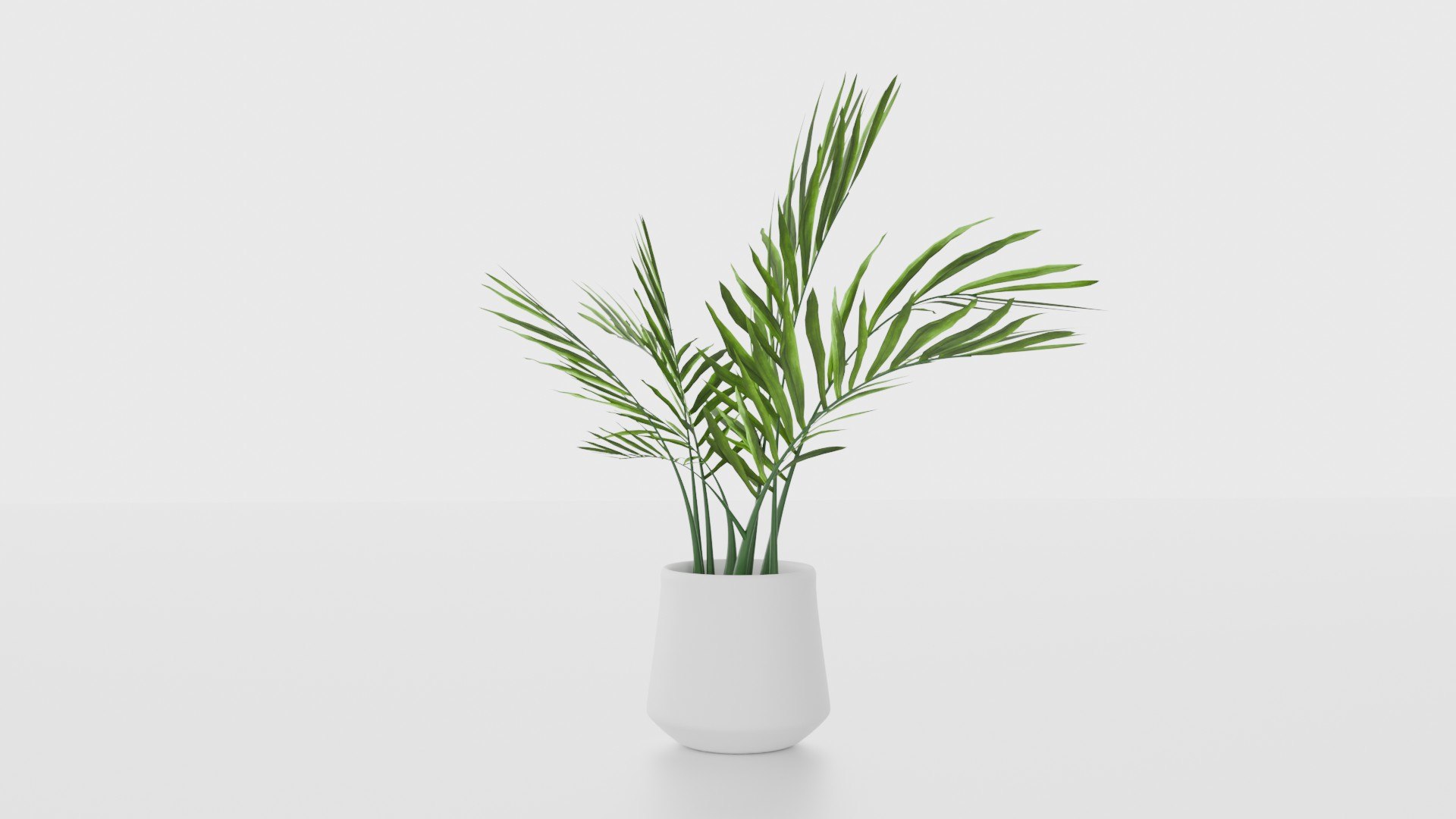 Indoor plants for decoration model https://p.turbosquid.com/ts-thumb/df/9iR3xF/XC/07/jpg/1754083233/1920x1080/fit_q87/978058d5f48cf78cd2858b0dbf075c8e17f1258f/07.jpg