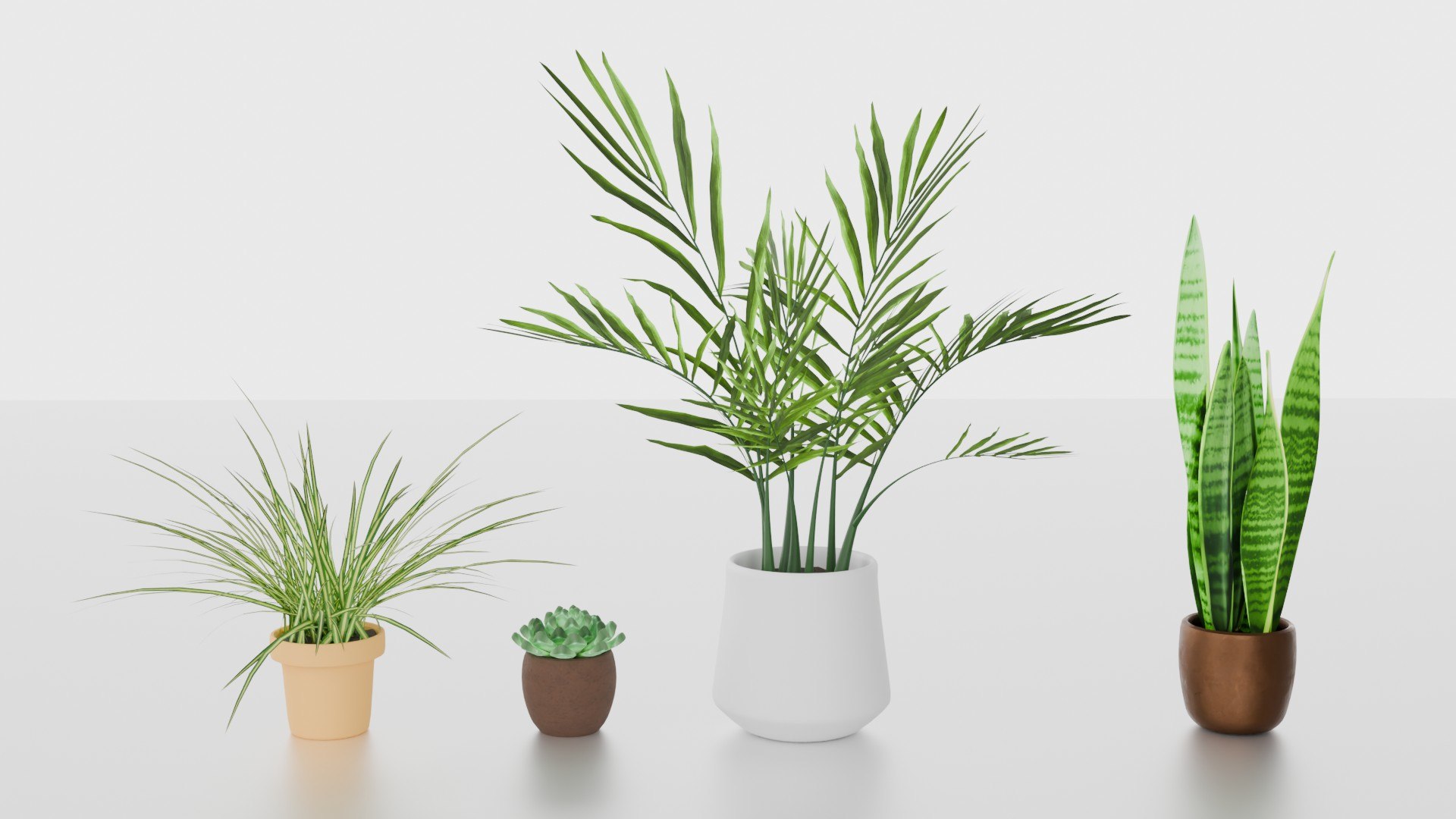 Indoor plants for decoration model https://p.turbosquid.com/ts-thumb/df/9iR3xF/m6/01/jpg/1754083231/1920x1080/fit_q87/0d9bc3bb2a23cf69b5754024d268e8c2646a1b5f/01.jpg