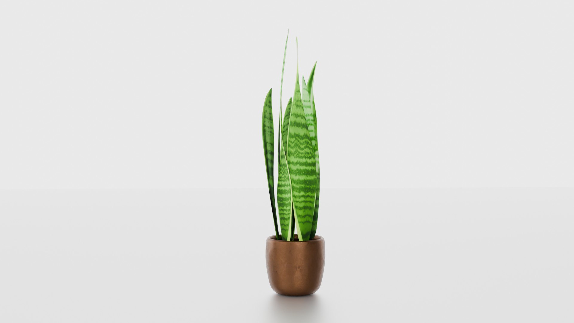 Indoor plants for decoration model https://p.turbosquid.com/ts-thumb/df/9iR3xF/xF/10/jpg/1754083235/1920x1080/fit_q87/04a6ffef589d24bd1297ef3fb4e6675ac43c8cae/10.jpg