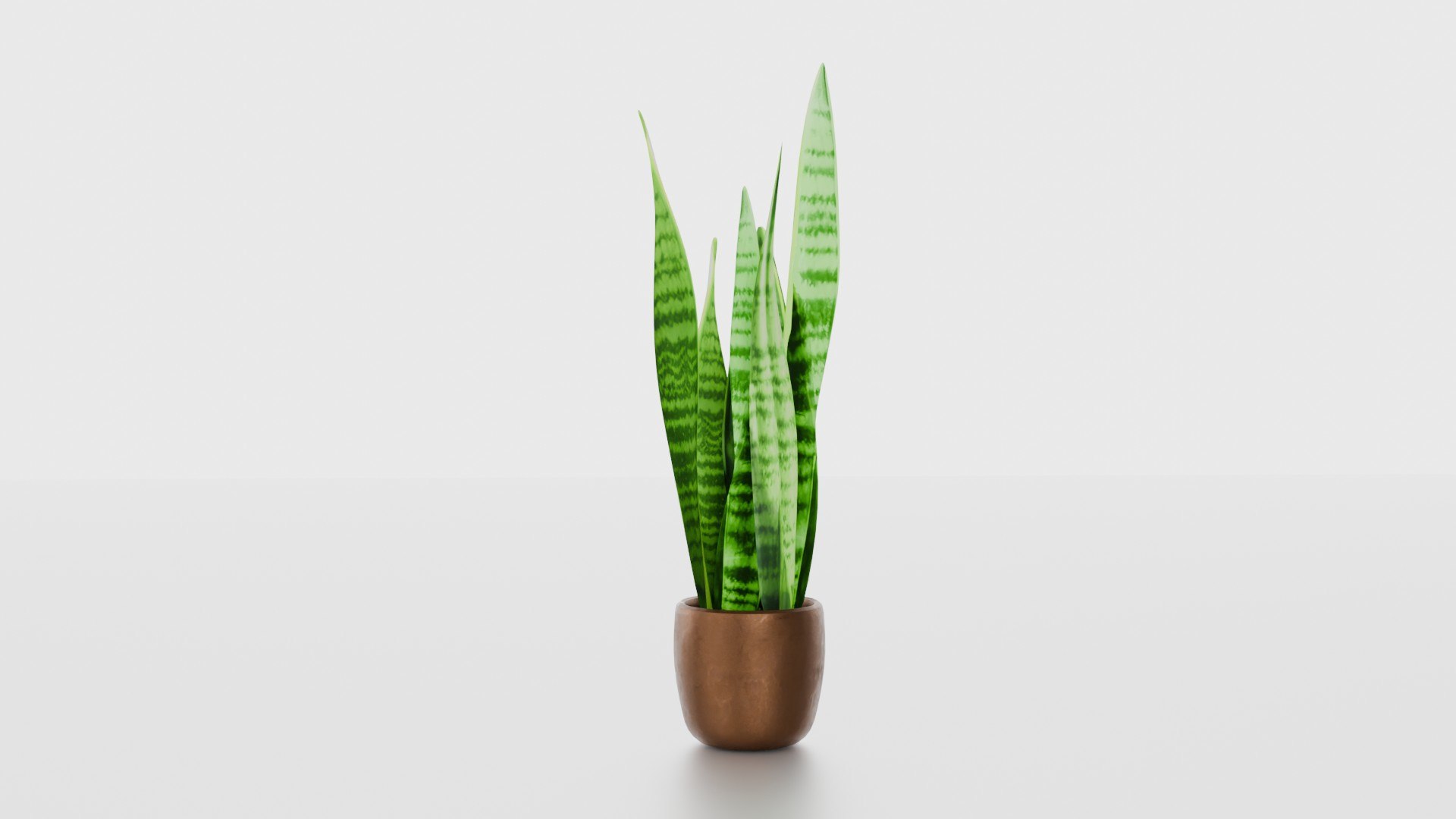 Indoor plants for decoration model https://p.turbosquid.com/ts-thumb/df/9iR3xF/yC/11/jpg/1754083235/1920x1080/fit_q87/055d2dc896b62cf204f210055e521859c76d6013/11.jpg