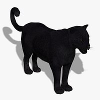 Black Panther (FUR)