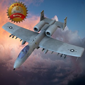 A10 Warthog Aircraft