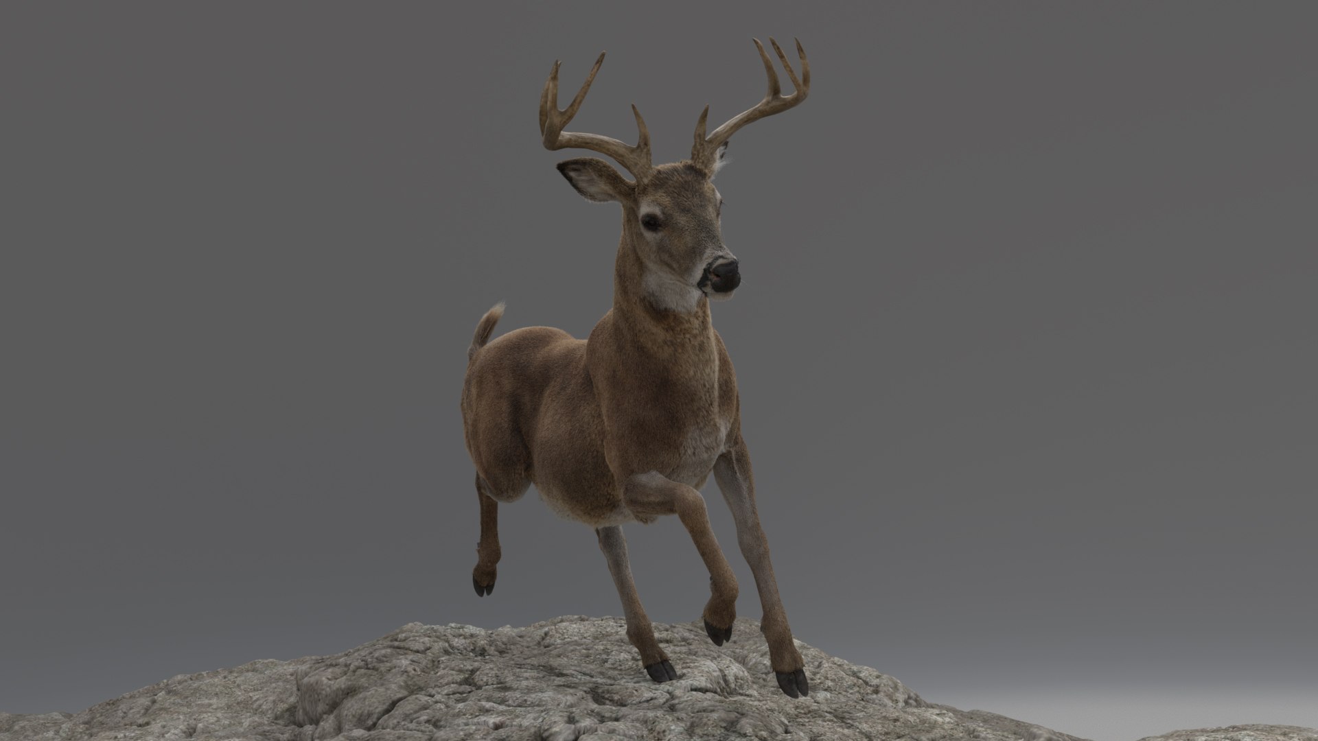 Lion and Deer ANIMATED Collection 3D https://p.turbosquid.com/ts-thumb/df/Jopy5B/7y/deerb004/jpg/1680163153/1920x1080/fit_q87/0494c407cffd532750841475e34171ac5710aafc/deerb004.jpg