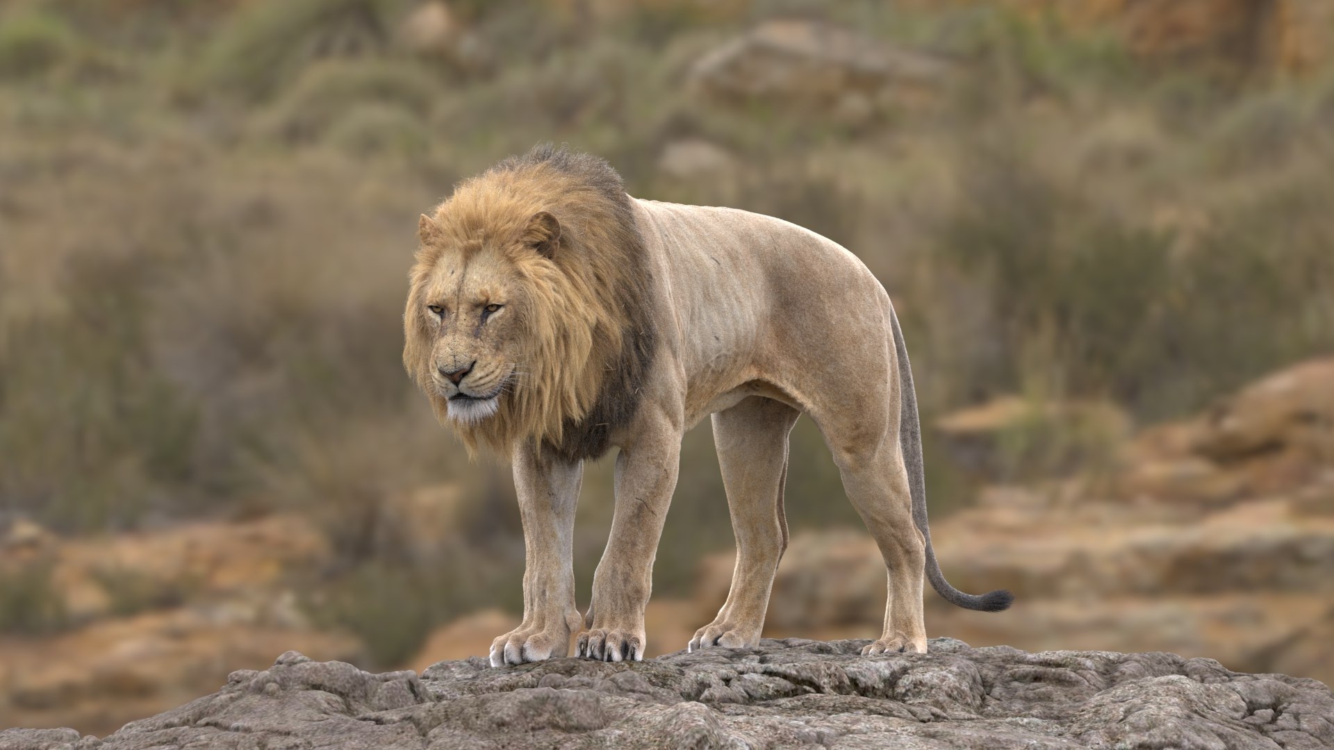 Lion and Deer ANIMATED Collection 3D https://p.turbosquid.com/ts-thumb/df/Jopy5B/Et/4/jpg/1680163285/1920x1080/fit_q87/c4bfcd7cf56156ff57034824114138eff836d205/4.jpg