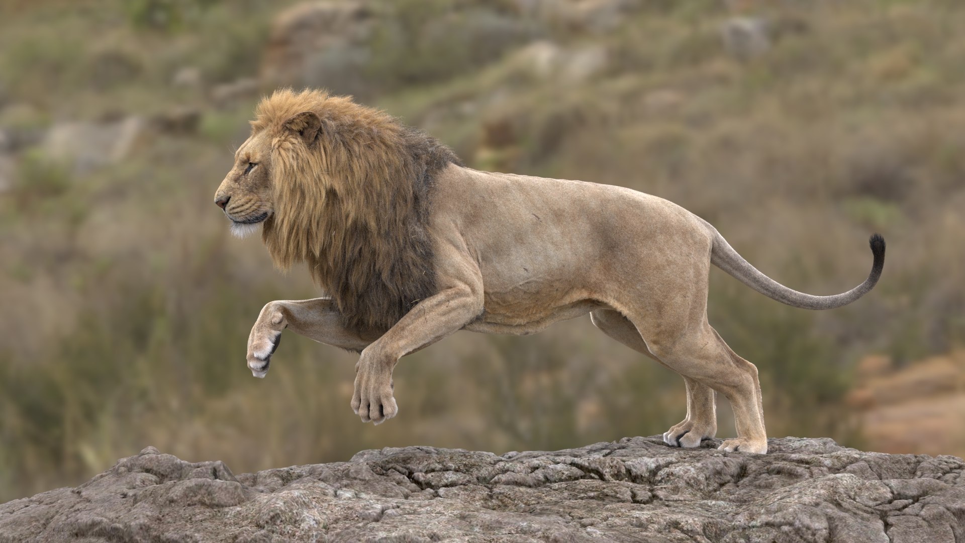 Lion and Deer ANIMATED Collection 3D https://p.turbosquid.com/ts-thumb/df/Jopy5B/JE/7/jpg/1680163286/1920x1080/fit_q87/779121e9965f602d54e0640a7d72f644f8ee0ab9/7.jpg