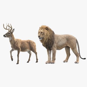 Lion and Deer ANIMATED Collection 3D