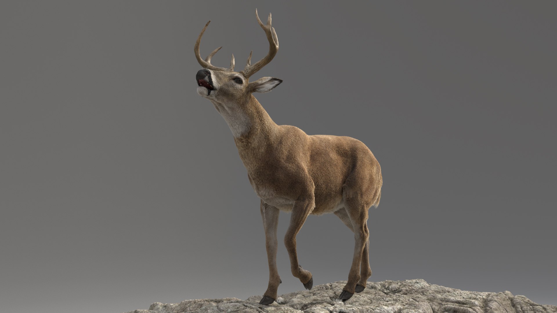 Lion and Deer ANIMATED Collection 3D https://p.turbosquid.com/ts-thumb/df/Jopy5B/RX/deerb005/jpg/1680163154/1920x1080/fit_q87/e5301d8c336f7c96b5b8ae9267f1432c990c68ec/deerb005.jpg