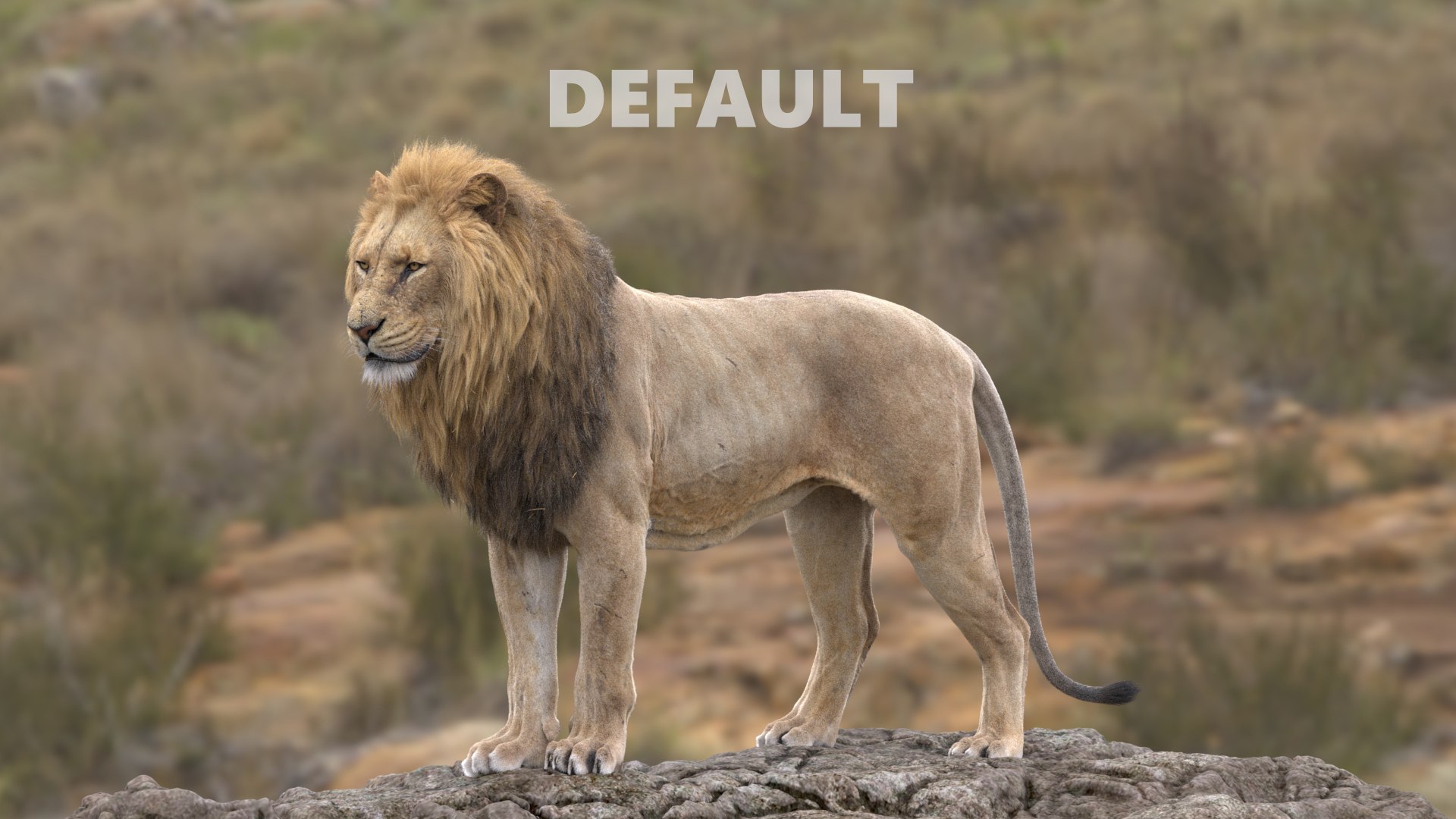 Lion and Deer ANIMATED Collection 3D https://p.turbosquid.com/ts-thumb/df/Jopy5B/hB/default/jpg/1648569828/1920x1080/fit_q87/8aa20e491a9e503afb0ccac1dcb0cac958c801e2/default.jpg