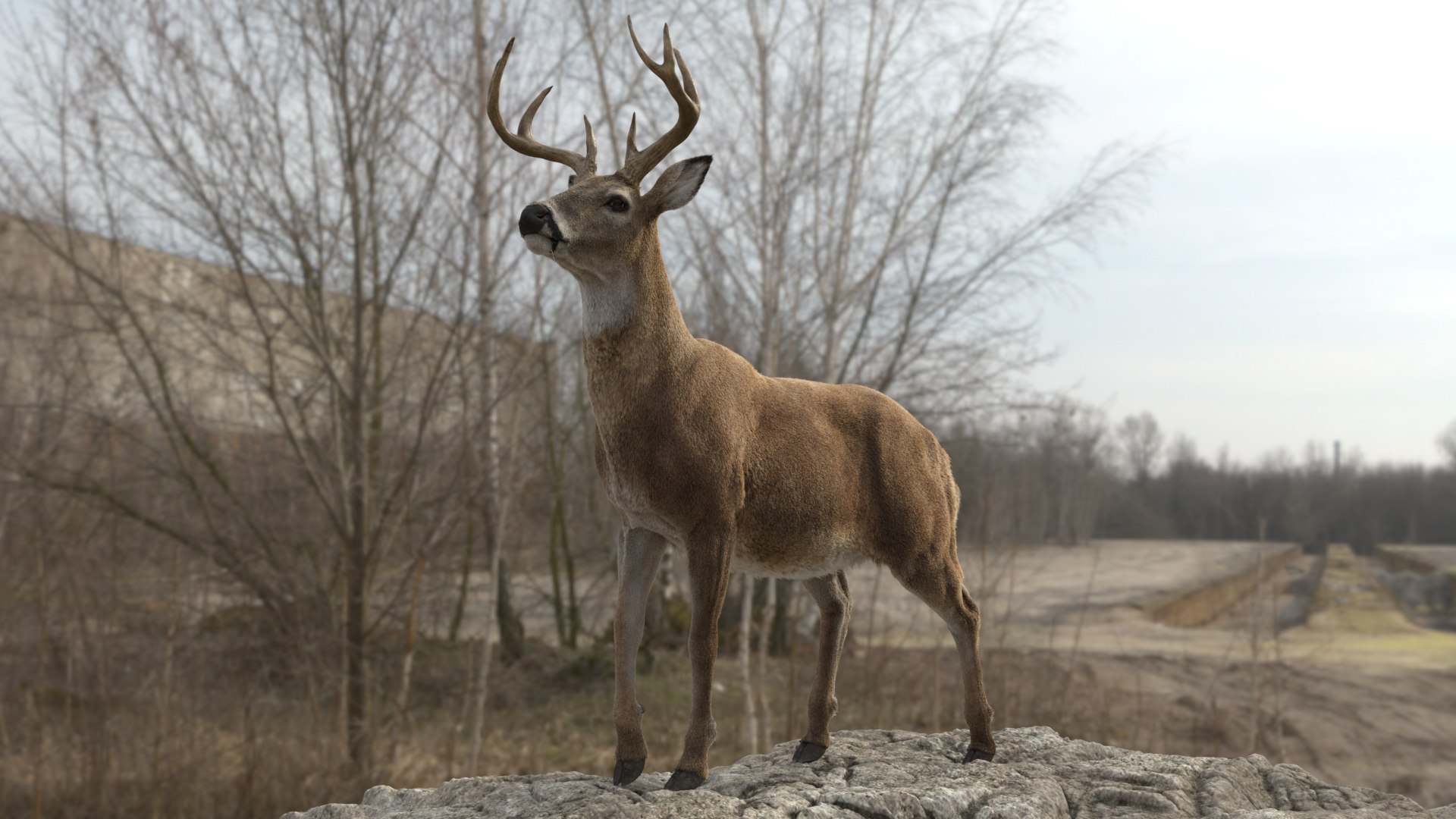Lion and Deer ANIMATED Collection 3D https://p.turbosquid.com/ts-thumb/df/Jopy5B/vk/deerbg_003/jpg/1680163155/1920x1080/fit_q87/4ee847ea4944833cd46f8a8c0bf7ae9d35d75539/deerbg_003.jpg