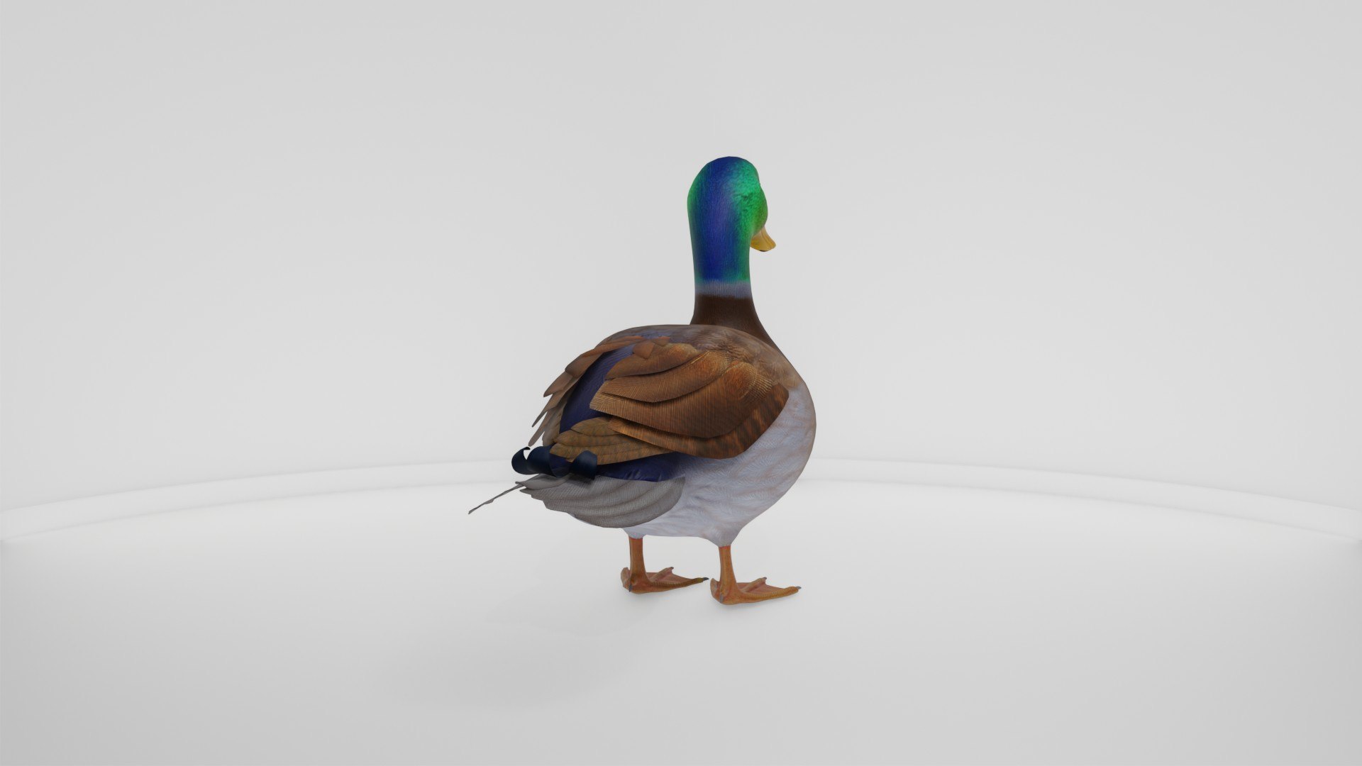 3D Realistic Duck Bird https://p.turbosquid.com/ts-thumb/df/RY0LNg/9l/preview10007/jpg/1778609825/1920x1080/fit_q87/ac7a759f9dc83003c2717a2b31cd4c1f04605816/preview10007.jpg