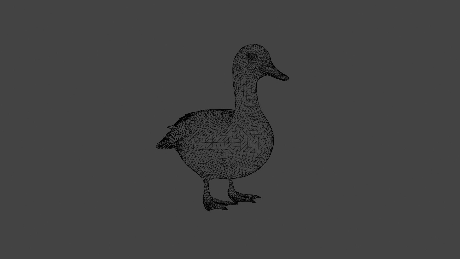 3D Realistic Duck Bird https://p.turbosquid.com/ts-thumb/df/RY0LNg/br/wire/jpg/1778609821/1920x1080/fit_q87/0ec03a0d8ab6f9e2f77886eb85c71e1846922f36/wire.jpg