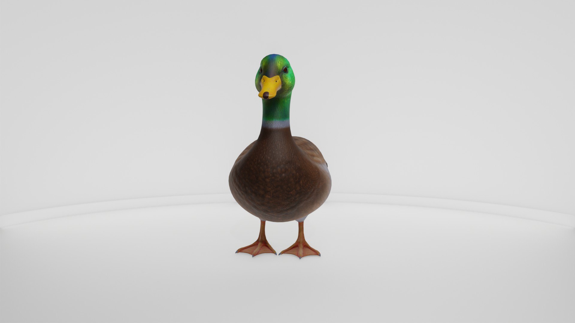 3D Realistic Duck Bird https://p.turbosquid.com/ts-thumb/df/RY0LNg/zr/preview10003/jpg/1778609824/1920x1080/fit_q87/59d70d959837dfce8ba78202ade464304e1636f6/preview10003.jpg