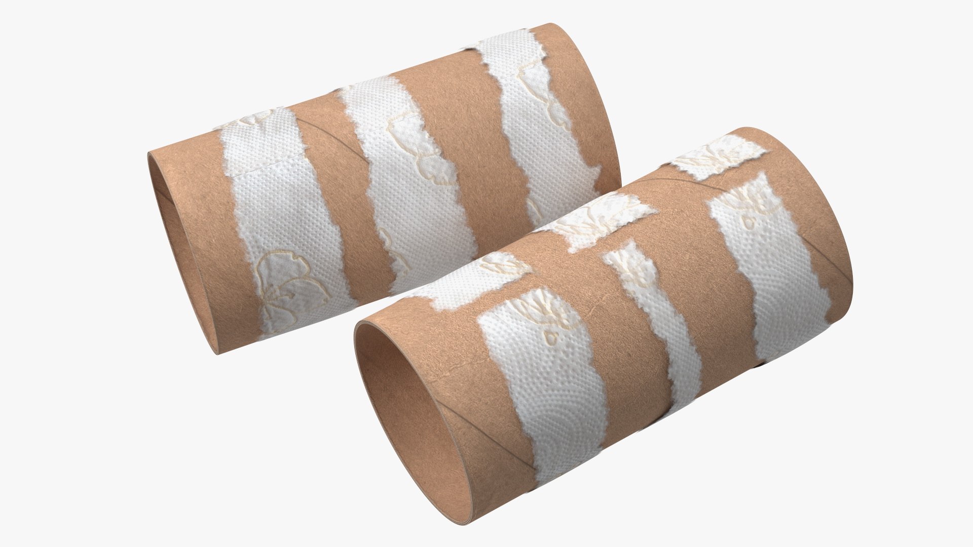 Empty Toilet Paper Tubes | 3D model
