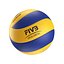 Mikasa MVA200 volleyball