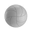 Mikasa MVA200 volleyball