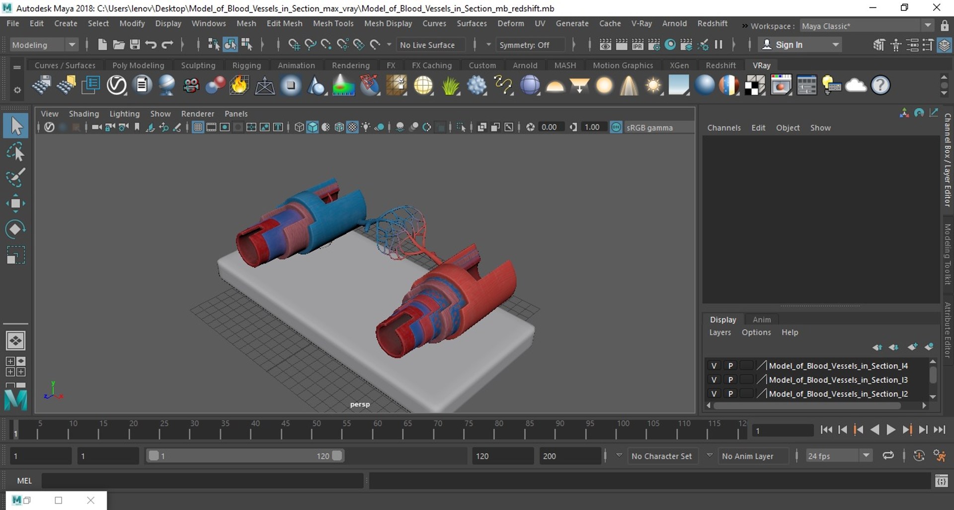 3D Model of Blood Vessels in Section model https://p.turbosquid.com/ts-thumb/df/tWzpB7/O2/model_of_blood_vessels_in_section_1012/jpg/1744086231/1920x1080/fit_q87/c16a290ec07b45752d175860c54cb6732b55dd9f/model_of_blood_vessels_in_section_1012.jpg