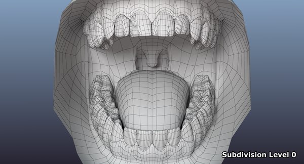 3D mouth gums cheeks - TurboSquid 1471564