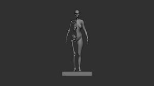 Female skeleton 3d print