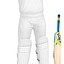 Cricket-Spieler ULTIMATE PACK