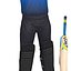 Cricket-Spieler ULTIMATE PACK