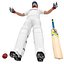 Cricket-Spieler ULTIMATE PACK
