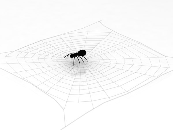 3D Spider model