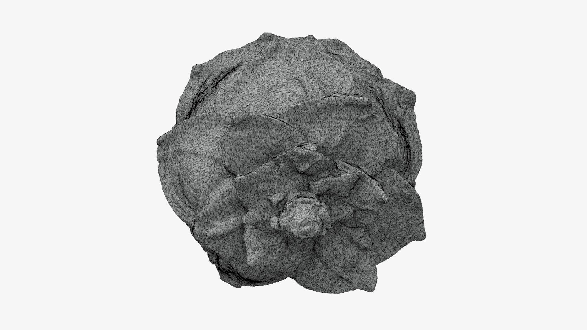 Pine Nut Taiga 01 3D Print 3D model https://p.turbosquid.com/ts-thumb/dg/7u5WtB/2A/pinetaiga01_g0001/jpg/1727943414/1920x1080/fit_q87/0bad6096faefe55693f74caa8b2e2405b8865576/pinetaiga01_g0001.jpg