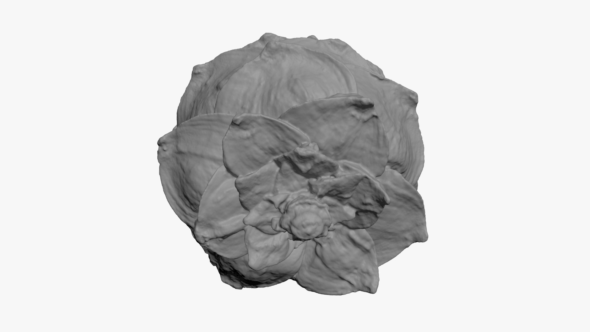 Pine Nut Taiga 01 3D Print 3D model https://p.turbosquid.com/ts-thumb/dg/7u5WtB/GY/pinetaiga01_b0012/jpg/1727943414/1920x1080/fit_q87/6572a617342db9d8f8293c2a75a74296ff358e6f/pinetaiga01_b0012.jpg