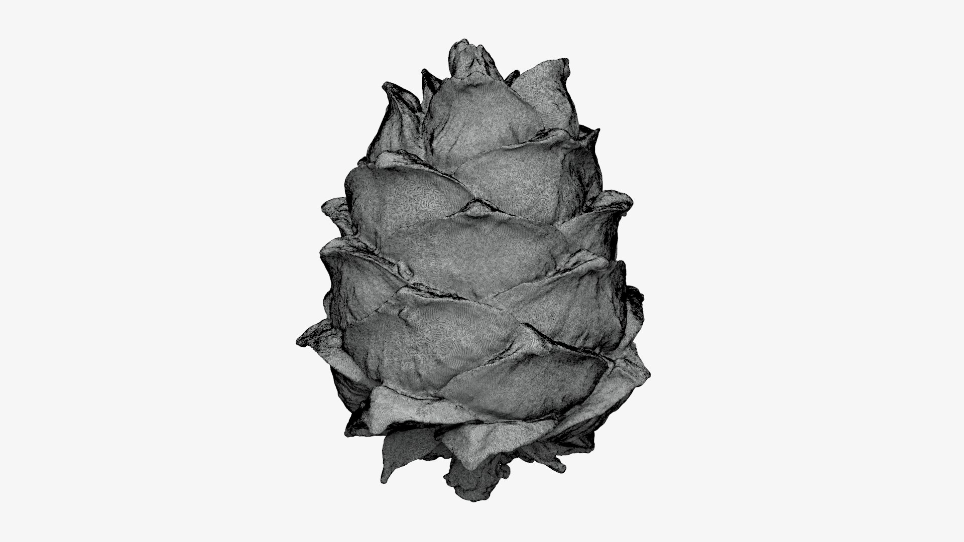 Pine Nut Taiga 01 3D Print 3D model https://p.turbosquid.com/ts-thumb/dg/7u5WtB/QP/pinetaiga01_g0002/jpg/1727943415/1920x1080/fit_q87/6e510f96ddde9e9a2ef51b0525b915724a1d3394/pinetaiga01_g0002.jpg